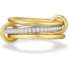 Signature link Ring-zirconia 18k PVD Gold plated