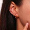 Veloura Lumi Hoops -18K PVD Gold Plated|Waterproof